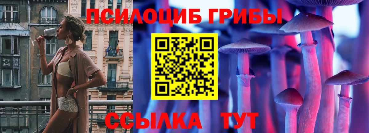 Псилоцибиновые грибы GOLDEN TEACHER Ярославль
